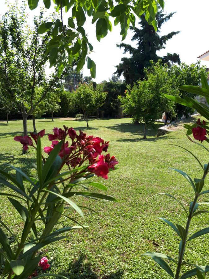 Villa George Афітос Екстер'єр фото
