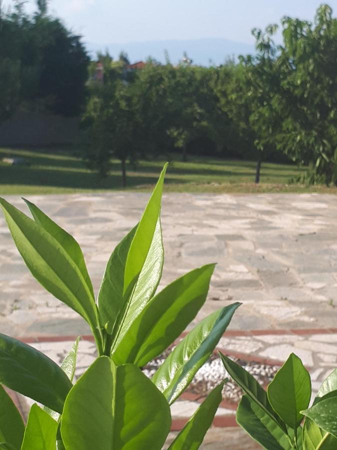 Villa George Афітос Екстер'єр фото