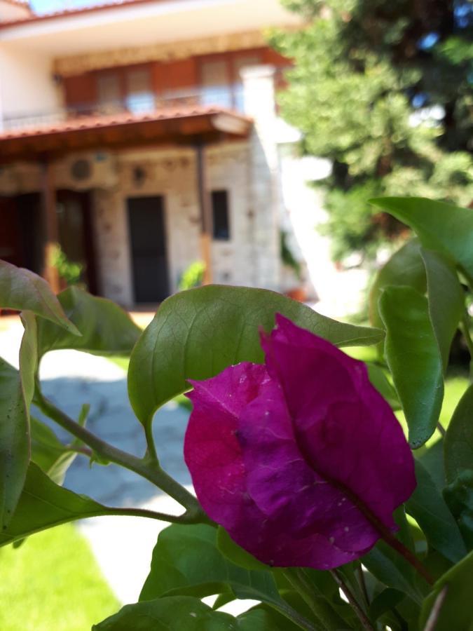 Villa George Афітос Екстер'єр фото