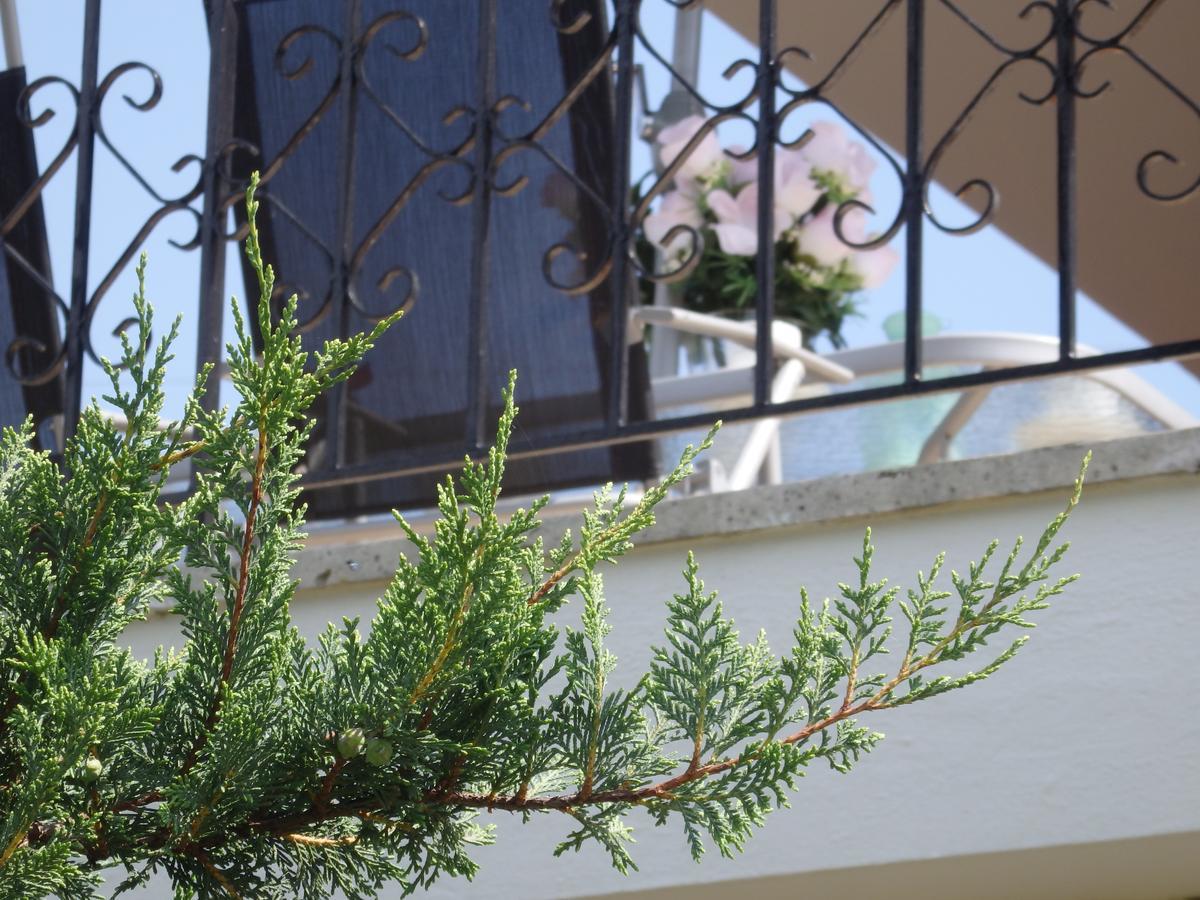 Villa George Афітос Екстер'єр фото